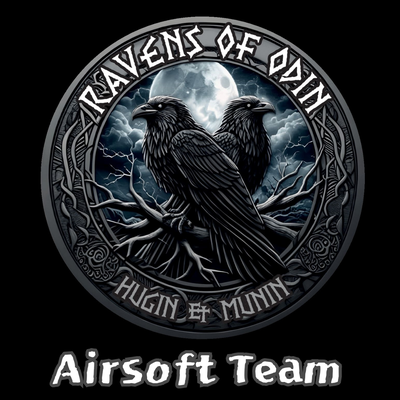 Ravens Of Odin