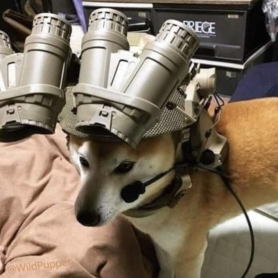 Nick M Callsign DOG (EN, RU)