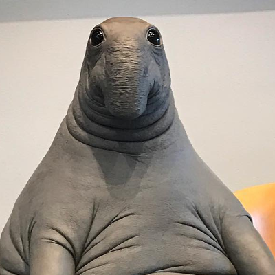 chris globbertot